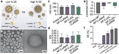 Lipidation Approaches Potentiate Adjuvant-Pulsed Immune Surveillance: A Design Rationale for Cancer Nanovaccine